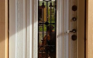 дверь металлическая для загородного дома вид внутри