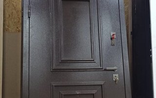 стальная дверь с металлобагетом